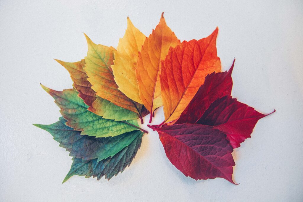 7 Reasons to Choose Suntree Wellness for Therapy
